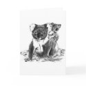 koala bears cards by Dennis_Holmes koala bears cards