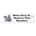 Koala Bumper Sticker bumper stickers by adrianropp Koala Bumper Sticker bumper stickers