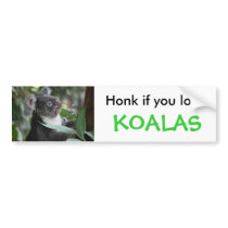 Koala bumper stickers