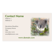 Koala Business Card