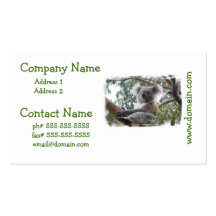 Koala Business Cards