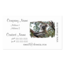 Koala Business Cards