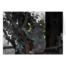 Koala Greeting Card
