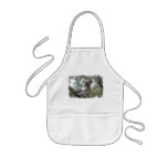 koala,koala bear,marsupial,koalas,koala bears,australia,australian koala bear,bear,bears,australian,aussie,mammal,animal,wildlife,wild life,wild animal,animals,koala photo,koala picture,australian koala,cute koala,love koalas