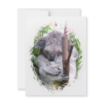 Koala Cuddle Invitation