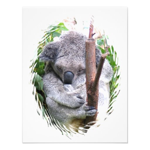 Koala Cuddle Invitation