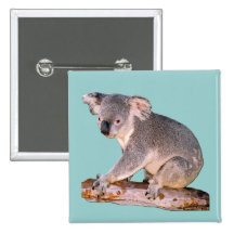 Koala Drawing Buttons