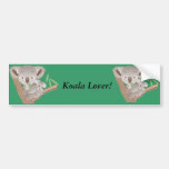 koala, koalas, bear, bears, jungle, wilderness, animal, animals, marsupials