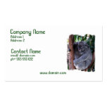 Koala Family Business Card