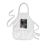 koala, koala bear, australia, australian koala bear, koalas, koala bears, bear, bears, marsupial, australian, aussie, mammal, animal, wildlife, wild life, wild animal, animals