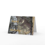 Koala hugging Tree Birthday Card
