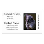 Koala in Tree Business Cards