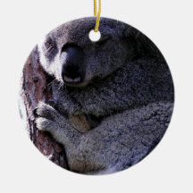 Koala in Tree Ornament