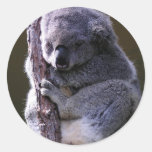 Koala in Tree Stickers