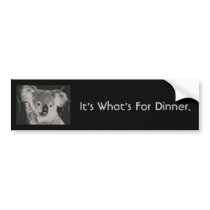 Koala, It's What's For Dinner. bumper stickers