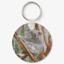 Koala keychains