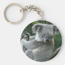 Koala Keychains