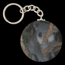 Koala keychains