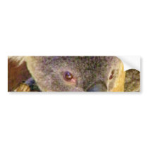 Koala Love_ Bumper Sticker