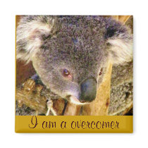 Koala Love_ Fridge Magnets