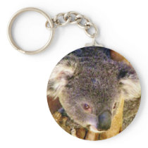 Koala Love_ Keychains