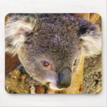 Koala Love_ Mouse Pad
