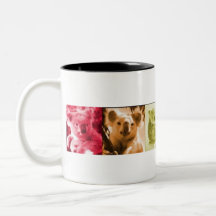 Koala Love Mug