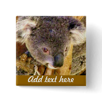 Koala Love_ Pinback Buttons