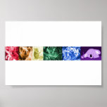 Koala Love Poster