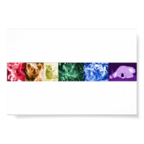 Koala Love Poster posters