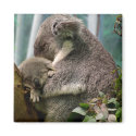 Koala Mom and New Baby magnets