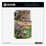 Koala Mother and Child iPod Touch 4G Decals