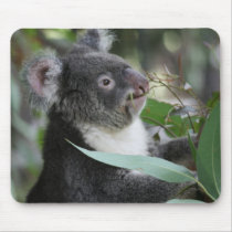 Koala Mouse Pad