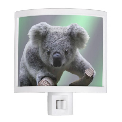 Koala Night Light Zazzle