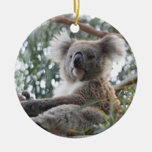 koala ornament zazzle koala ornament zazzle