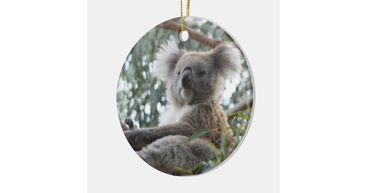 koala ornament zazzle koala ornament zazzle
