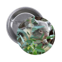 Koala Photography Button
