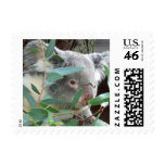 Koala Photography Postage Stamps (#2)