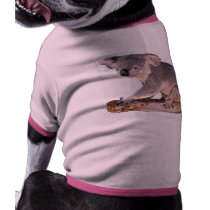 Koala Picture pet clothing by kphotos Koala Picture pet clothing