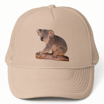 Koala Picture Trucker Hat hats