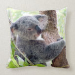 Koala Throw Pillow Koala Throw Pillow