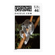 Koala Postage