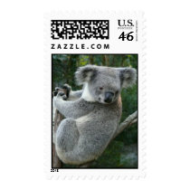Koala Postage Stamp