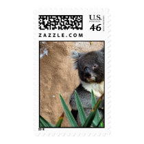 Koala Postage postage