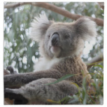 Koala Set of Four Napkins