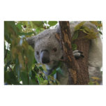 Koala Stationery