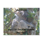 Koala Tree Hugger postcard