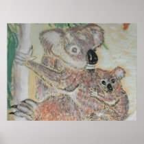 Koala  water colour print