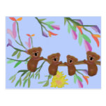 Koalas Hanging Out Post Card