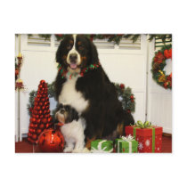 Kobus and Grover - Eiting - Photo 4 Postcards